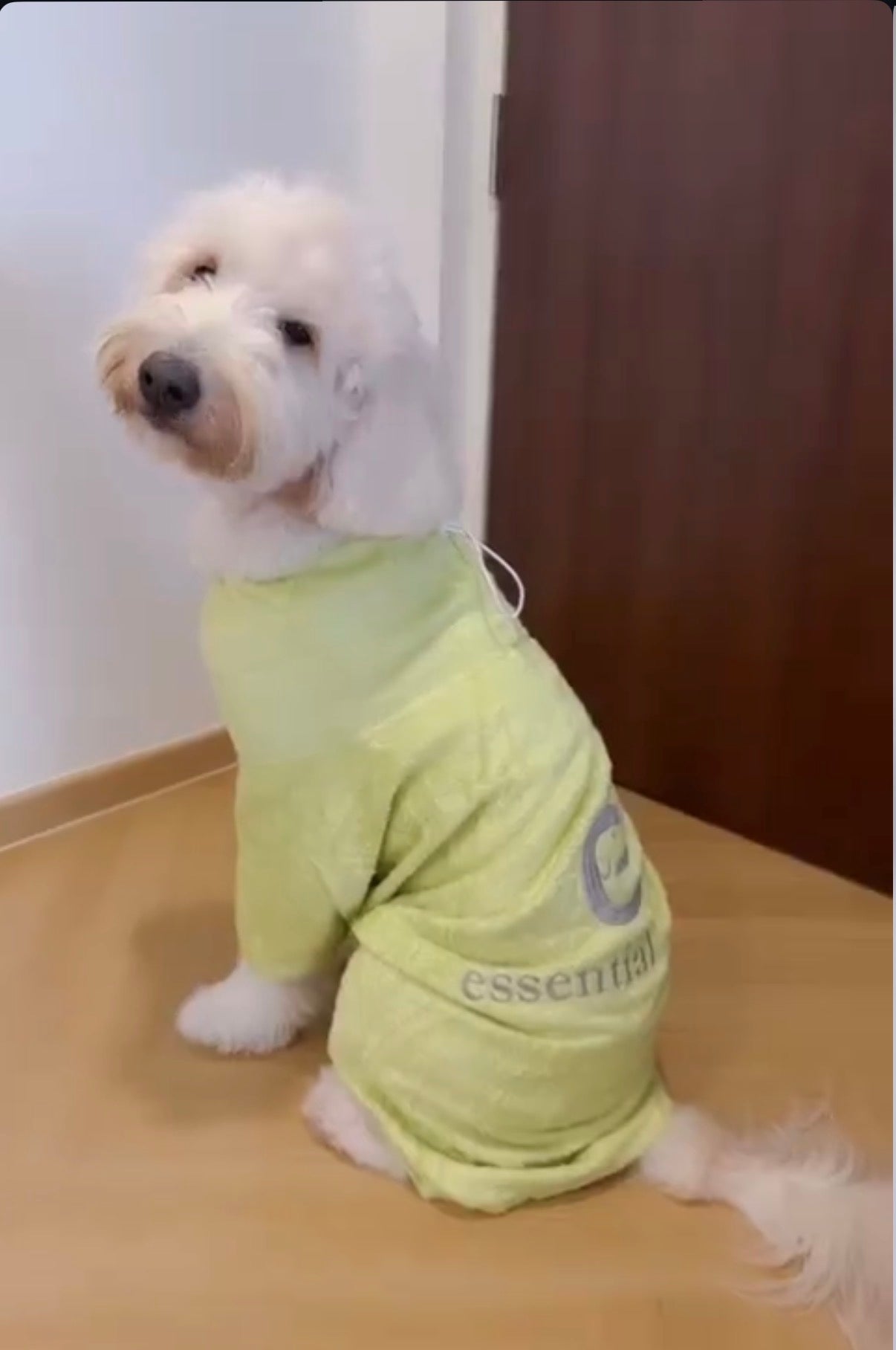 Organic Bamboo Dog Bathrobe