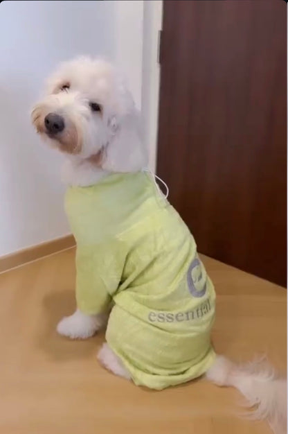 Organic Bamboo Dog Bathrobe