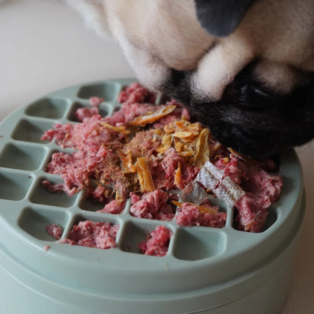 3-IN-1 BENTO (Lick Mat + Slow Feeder)