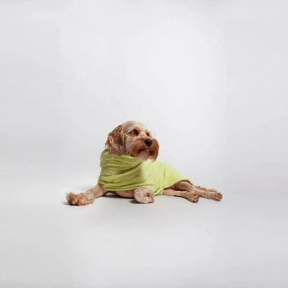 Organic Bamboo Dog Bathrobe