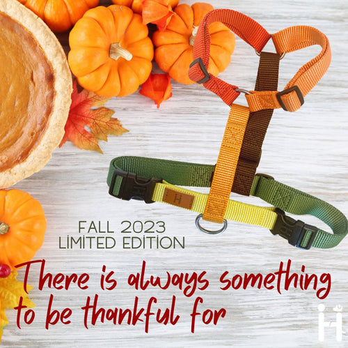 Haqihana Harness Thanksgiving Fall Limited Edition