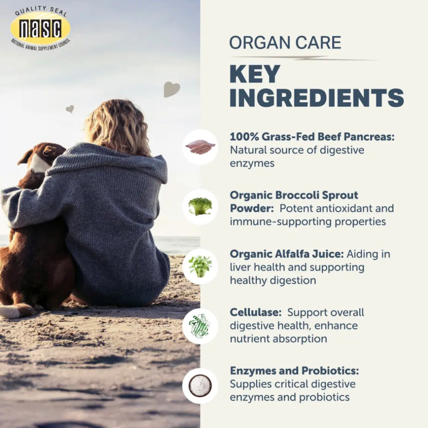 Organ Care - Digestive Enzymes