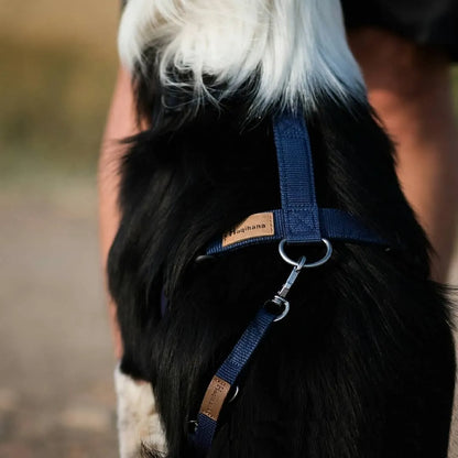 Haqihana Blue Harness