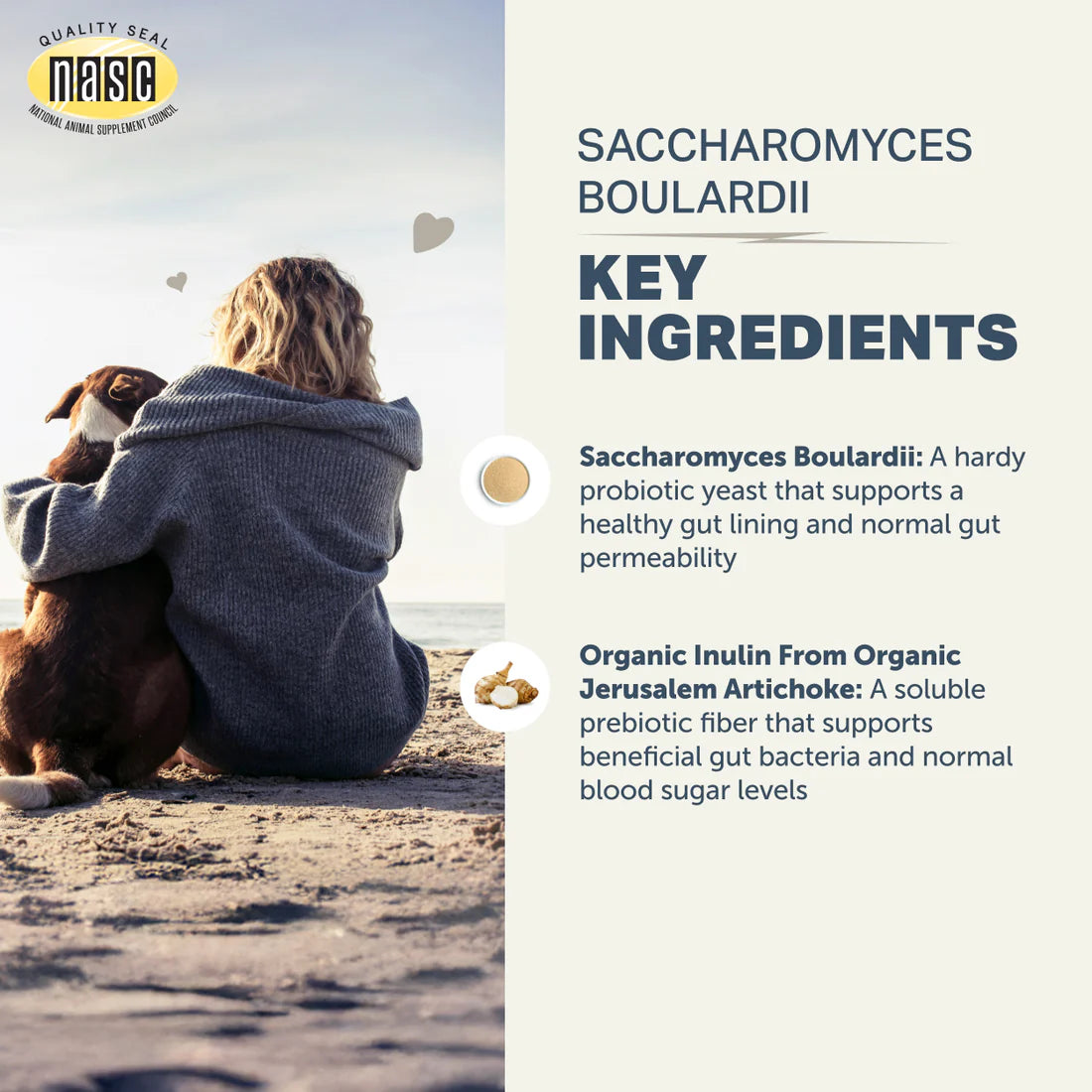Saccharomyces Boulardii