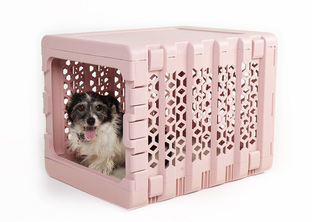 PAWD® Collapsible Crate