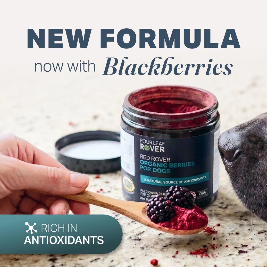 Red Rover - Antioxidants