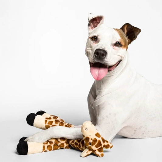 Nelly The Giraffe