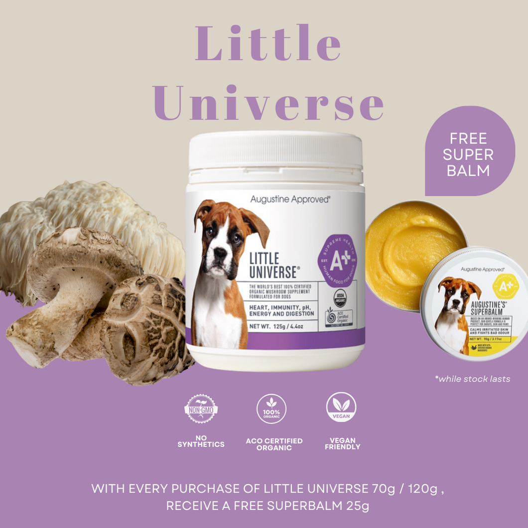 Little Universe (Organic Mushroom)