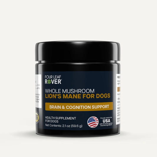 Supplement jar for dogs with 'Four Leaf Rover' branding on a white background
