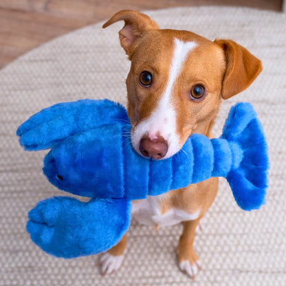 Lucky Lobster
