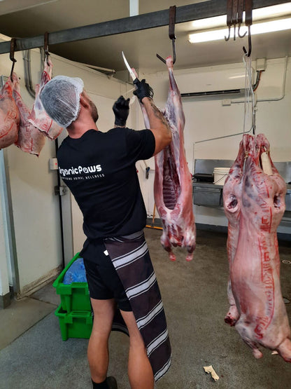 Person handling hanging lamb carcasses in a butchery setting