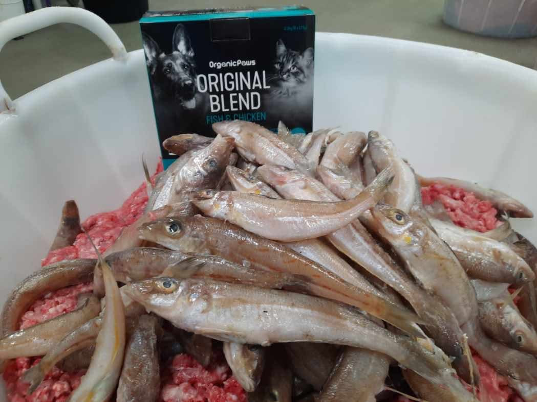 Fish and ground meat with a box of Organic Paws Original Blend cat food in the background.