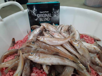 Fish and ground meat with a box of Organic Paws Original Blend cat food in the background.