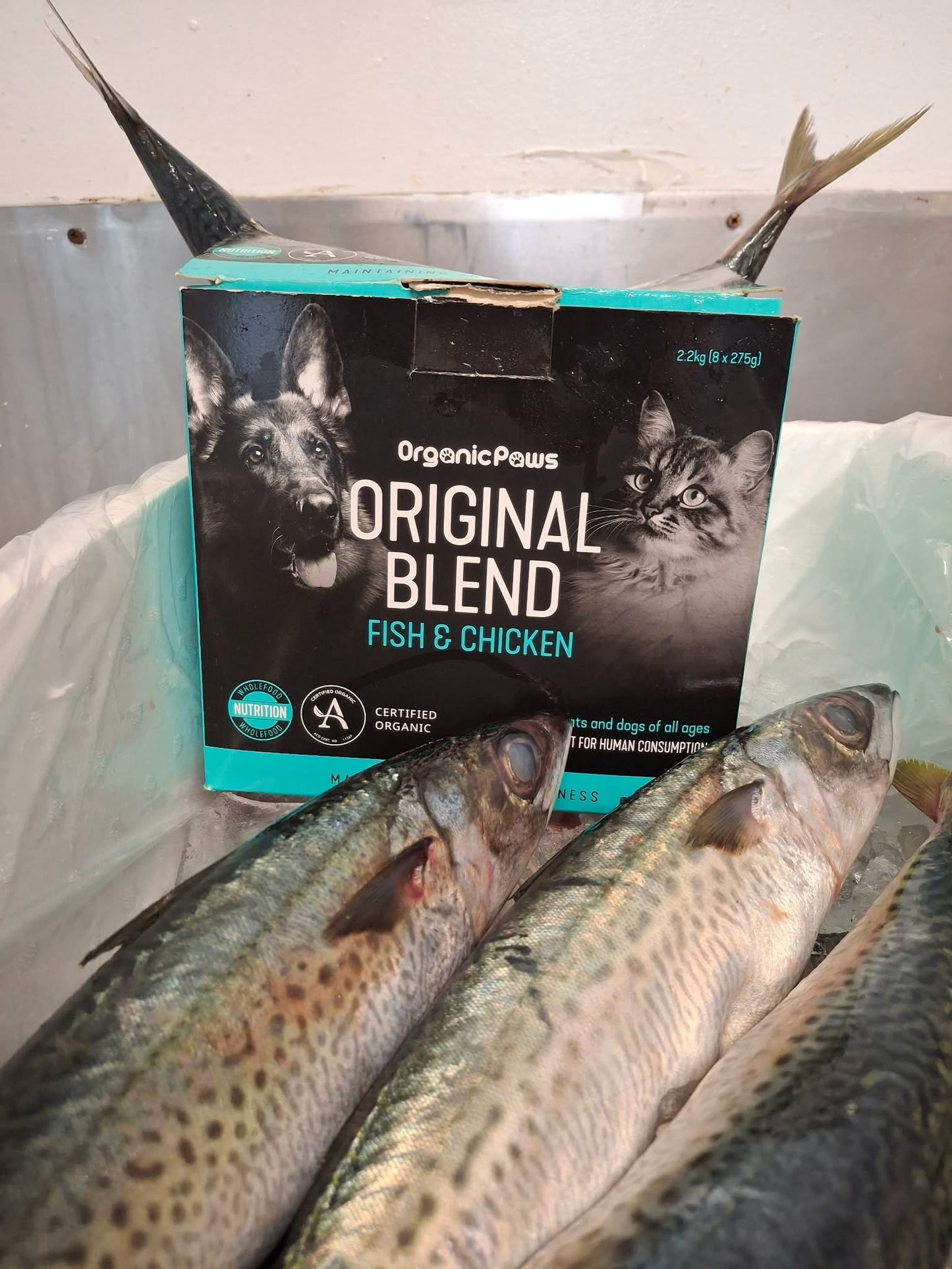 Box of Organic Paws Original Blend Fish & Chicken pet food with fish on a metal surface