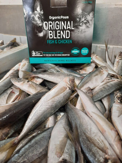 Box of Organic Paws Original Blend Fish & Chicken cat food on a pile of fish.