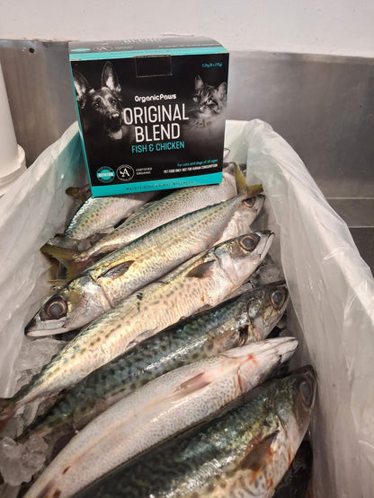 Fish on ice with a box of Original Blend pet food in the background