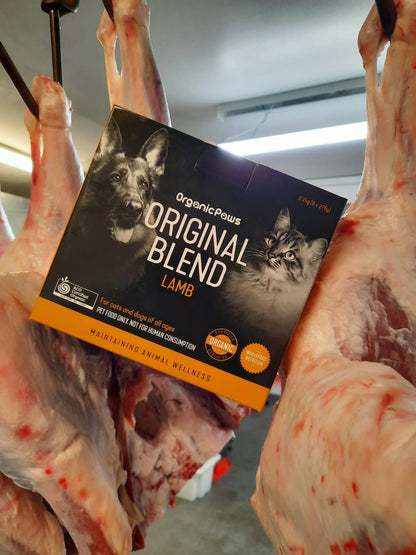 Box of Organic Paws Original Blend Lamb pet food between two raw meat planks.