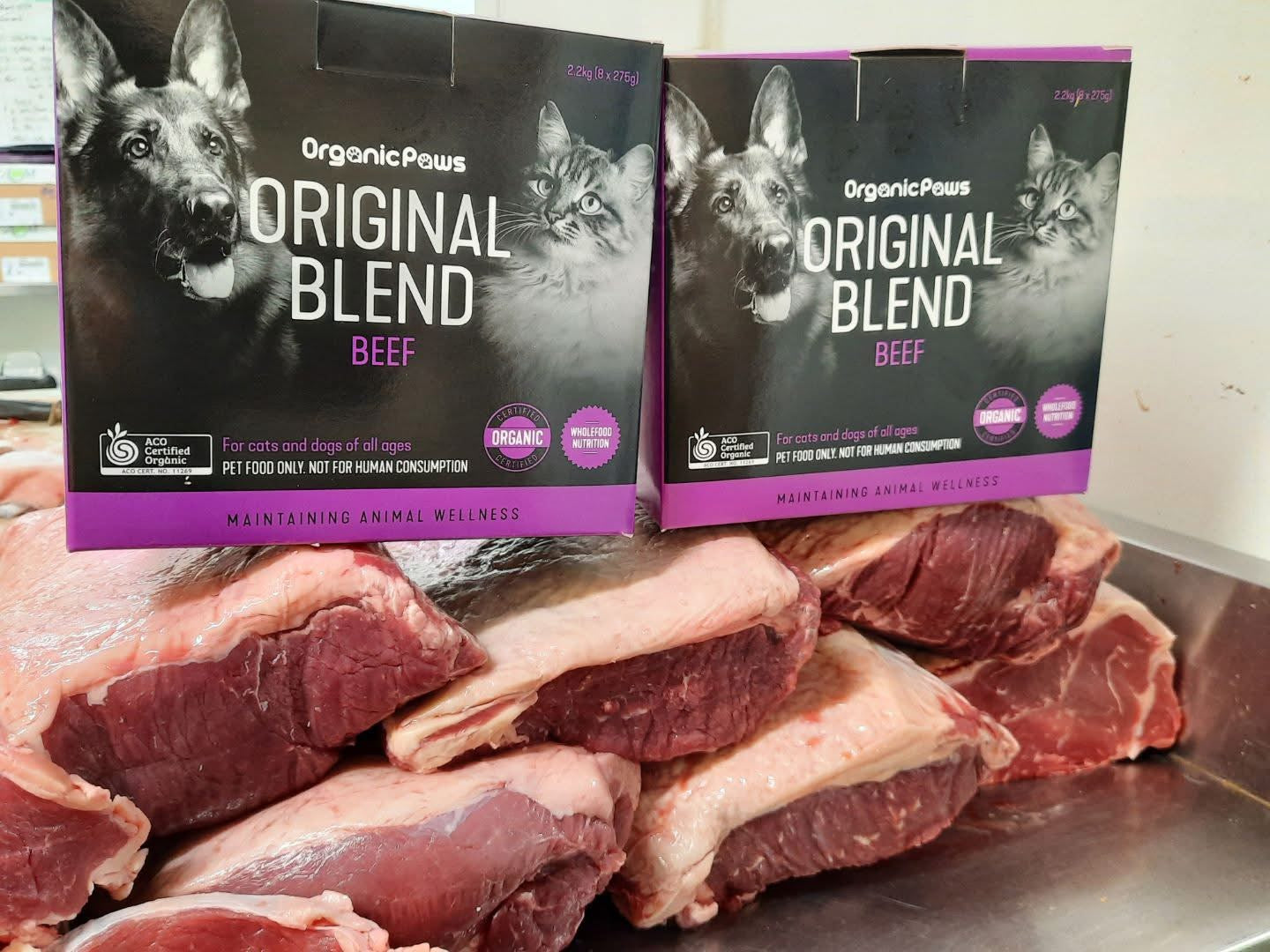 Two boxes of Organic Paws Original Blend Beef pet food with raw meat on a metal surface.