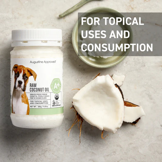 Itchy Skin Solutions for Dogs Singapore | Soothe, Heal & Restore | Paws ...