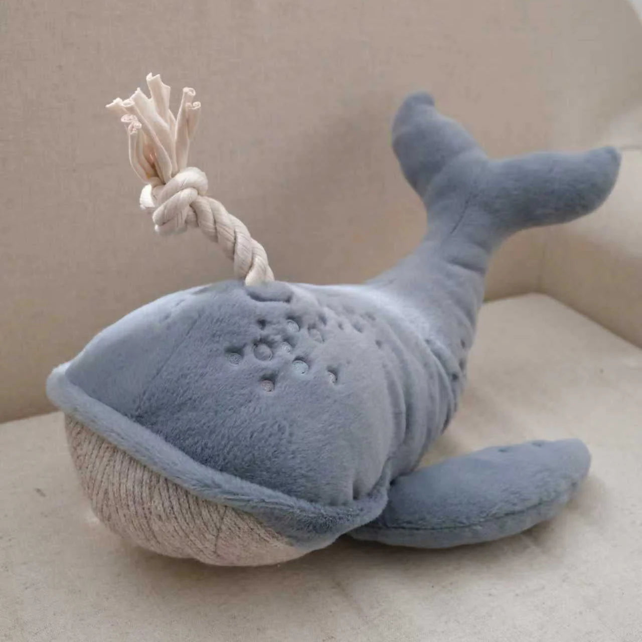 Wally The Whale