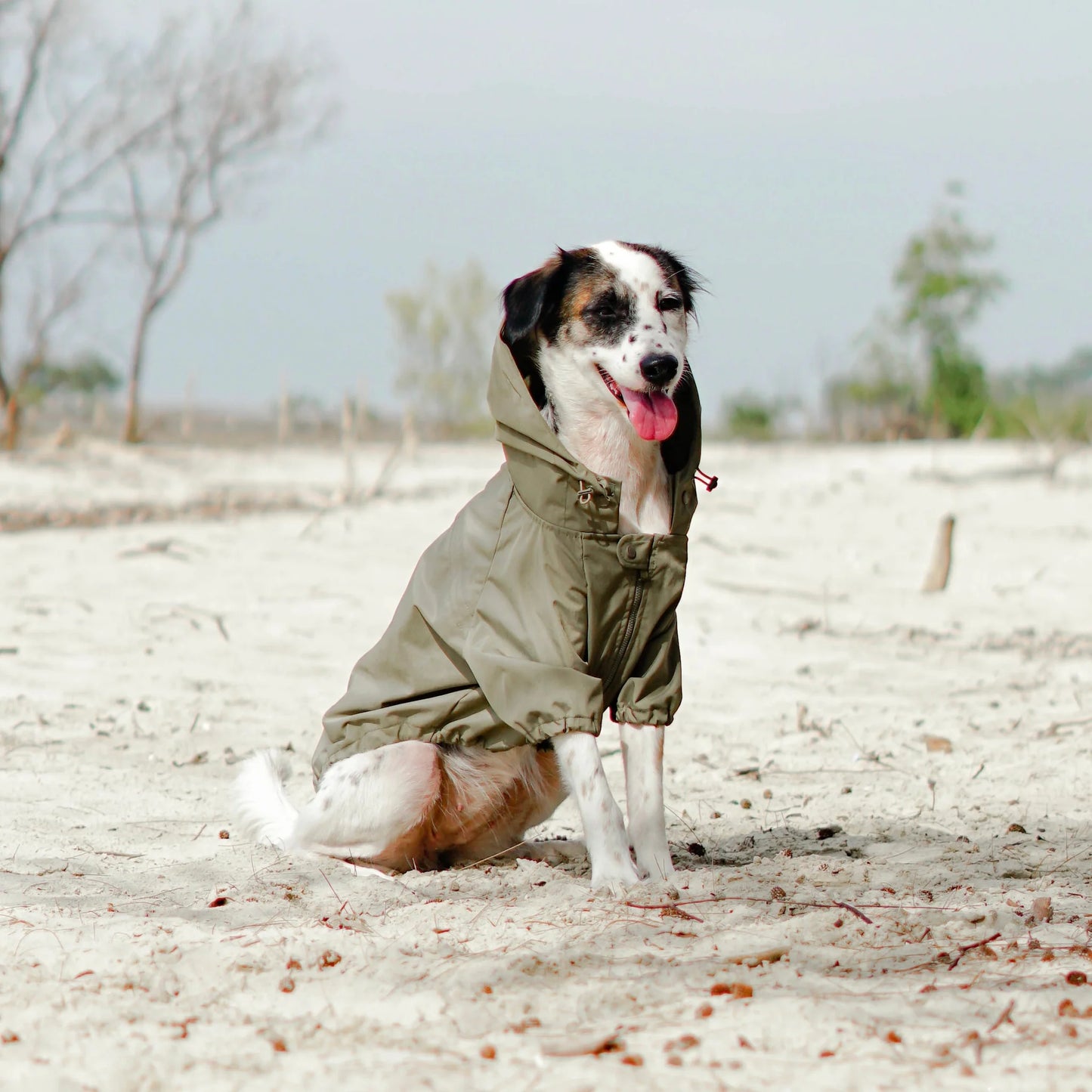 Brooklyn Raincoat