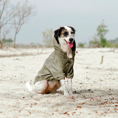 Brooklyn Raincoat