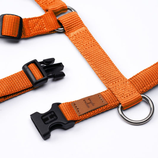 Haqihana Carrot Harness