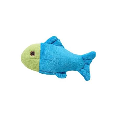 Molly Fish