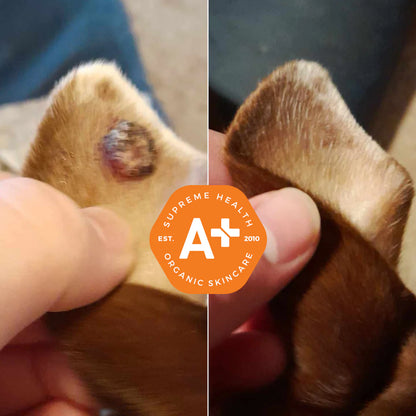 SuperHeal for Dogs & Cats
