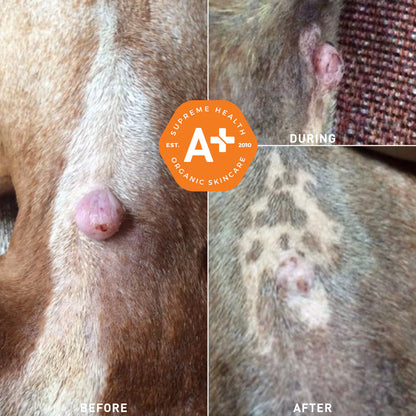 SuperHeal for Dogs & Cats