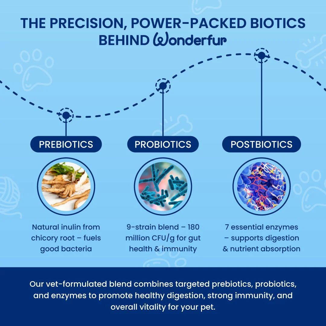 Prebiotics & Probiotics for Dogs & Cats