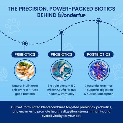 Prebiotics & Probiotics for Dogs & Cats