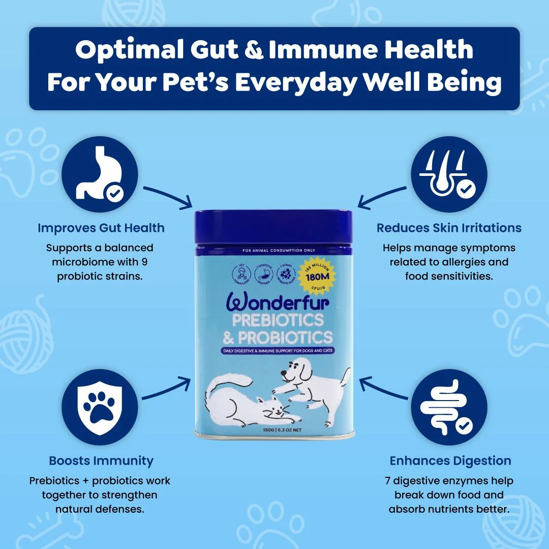 Prebiotics & Probiotics for Dogs & Cats