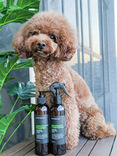 Dog Shampoo: Lavender, Lemon Peel And Clary Sage (Adult & Puppies)