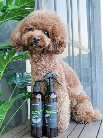 Dog Conditioner: Lavender, Lemon Peel & Clary Sage (Adults & Puppies)