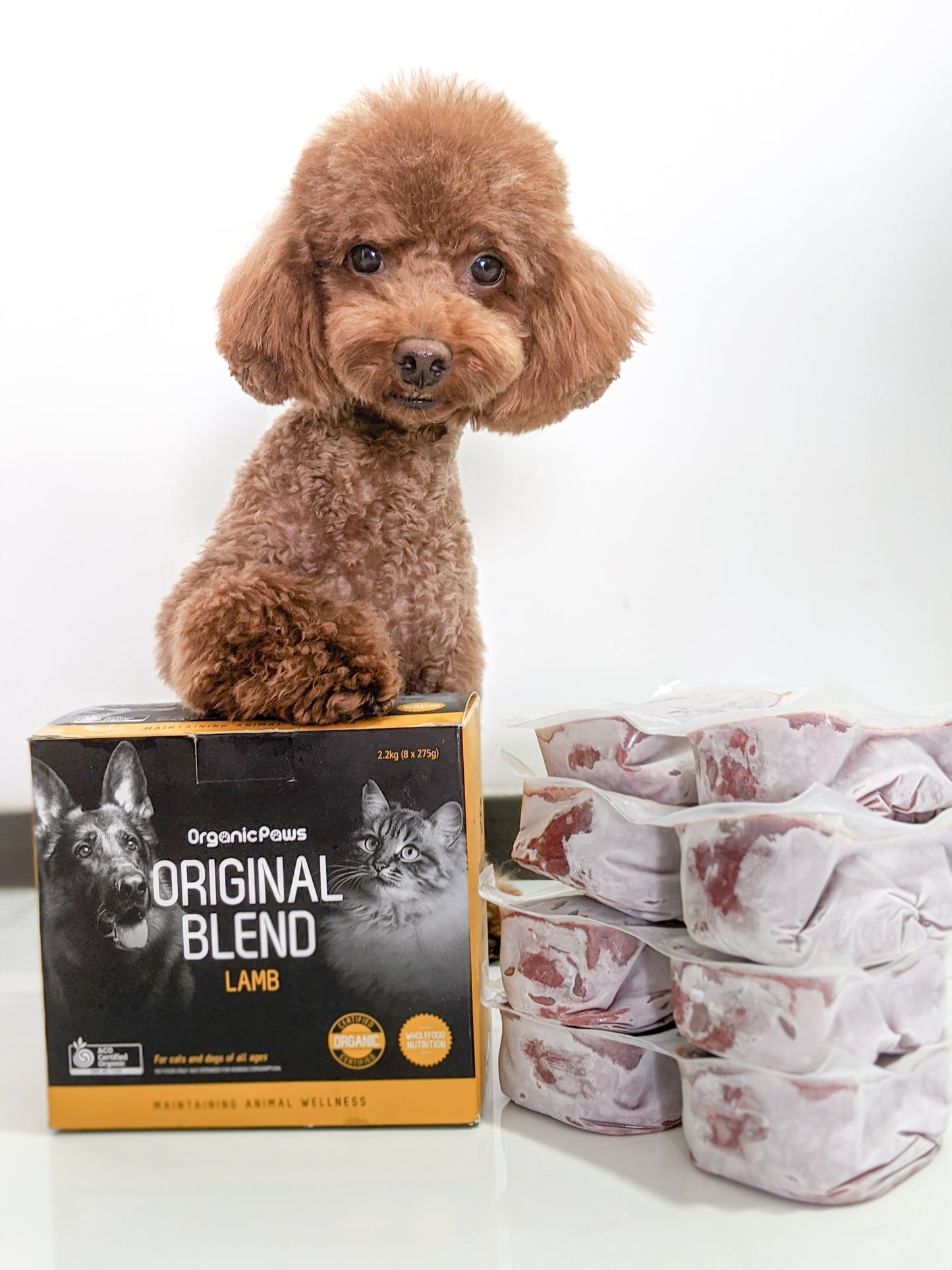 Original Blend Lamb