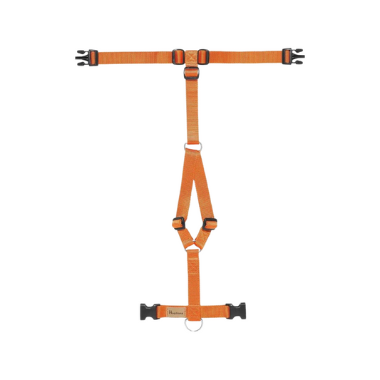 An orange and black carrot harness for dogs with stainless steel D-rings and acetal resin buckles.