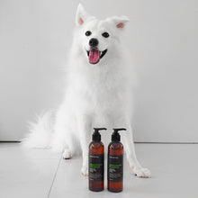 Dog Shampoo: Lavender, Lemon Peel And Clary Sage (Adult & Puppies)