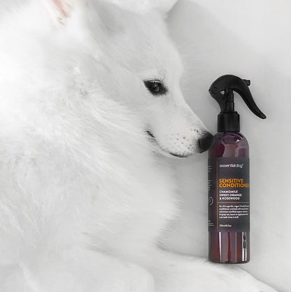 Sensitive Dog Conditioner: Chamomile, Sweet Orange & Rosewood