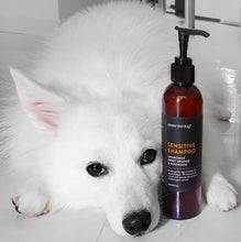 Sensitive Dog Shampoo: Chamomile, Sweet Orange & Rosewood
