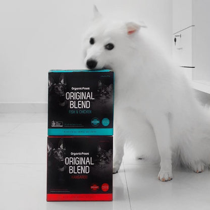 Original Blend Fish & Chicken