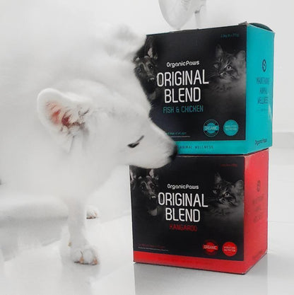 Original Blend Fish & Chicken