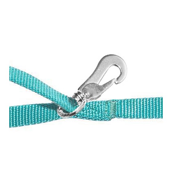 Haqihana Arctic Leash