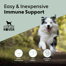 Green Rover - Supports Normal Liver Function
