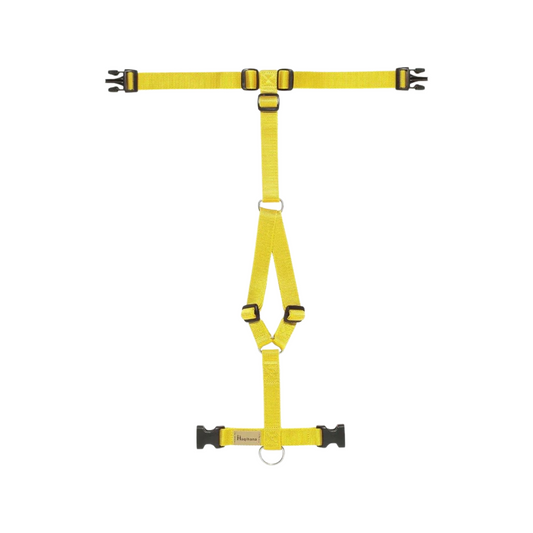 Haqihana Yellow Harness