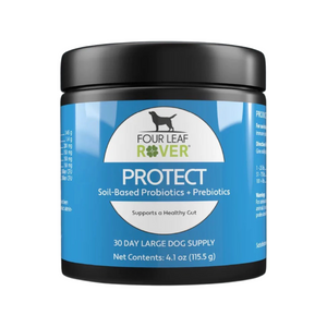 Protect - Everyday Probiotics For Gut Maintenance