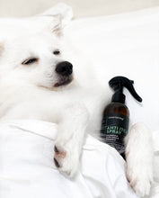 Natural Anti Itch Spray For Dogs