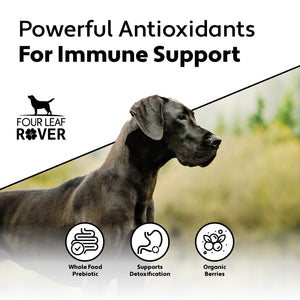 (SALE!) Red Rover - Antioxidants