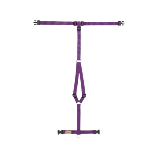 Haqihana Violet Harness