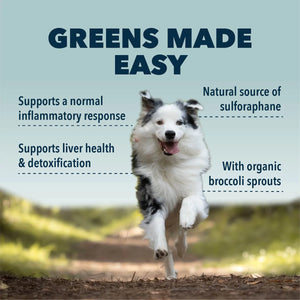 Green Rover - Supports Normal Liver Function